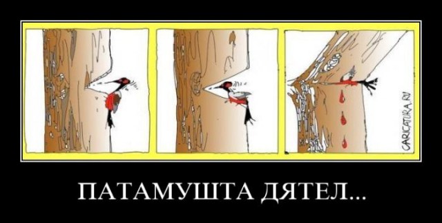 Почему мужчин так волнует прошлое жены?