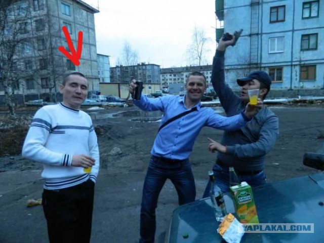 Веселье из скотсетей