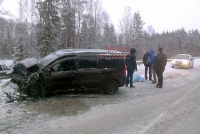 В Твери виновница смертельного ДТП пыталась оспорить приговор в виде 2,5 лет колонии-поселения за 2 жизни.