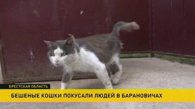 Срочные новости из Польши