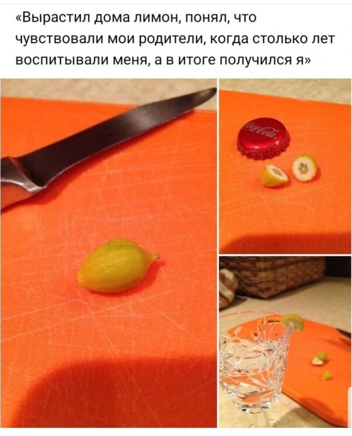 Забавные шутки, картинки и фразы из этих ваших интернетов