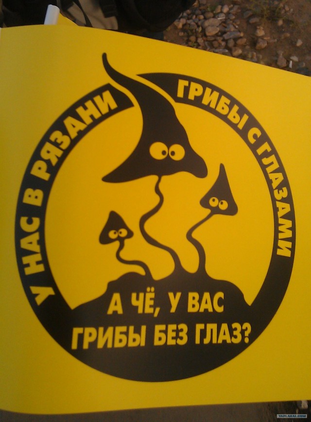 В контакт с грибами вступай смело!