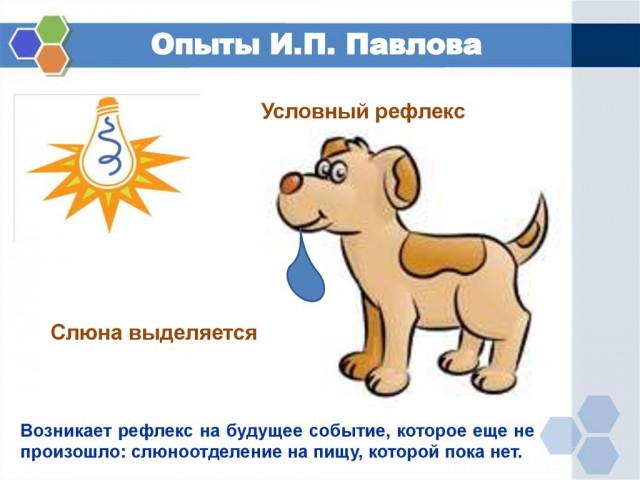 На Украине полицейские рискуя собственной жизнью спасли девушку, которая решила покончить с собой.