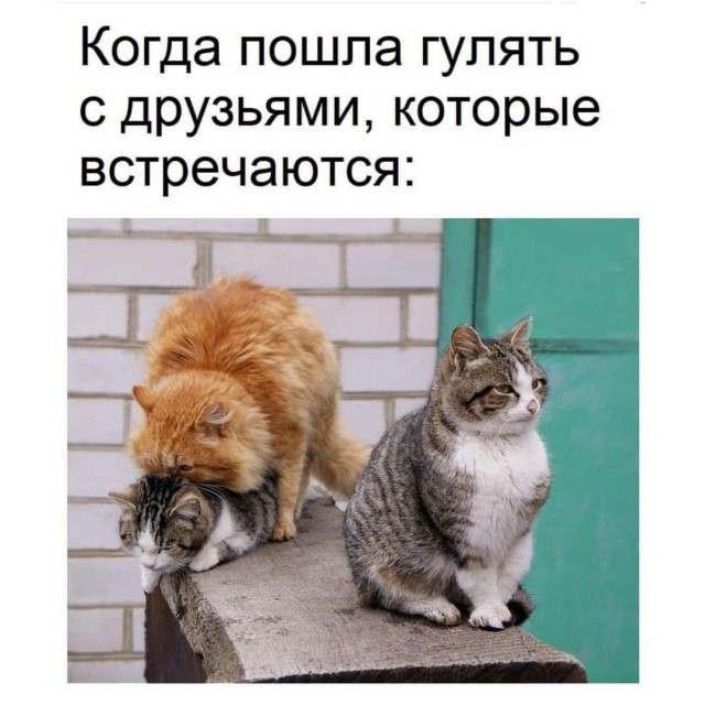 Очень пошлые картинки про это.18+