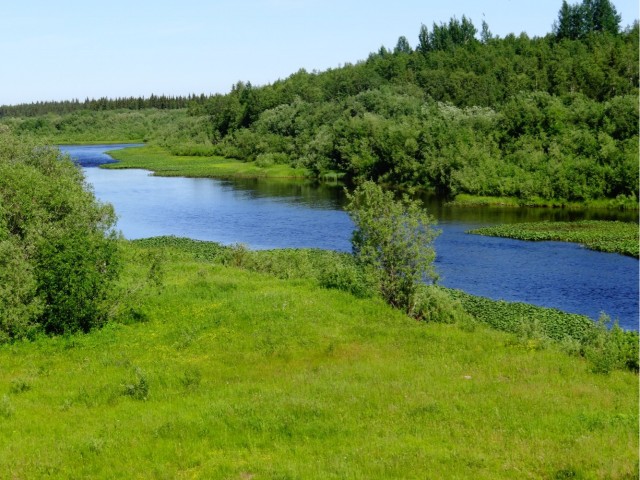 Где-то на Урале лес заменяет людям небо