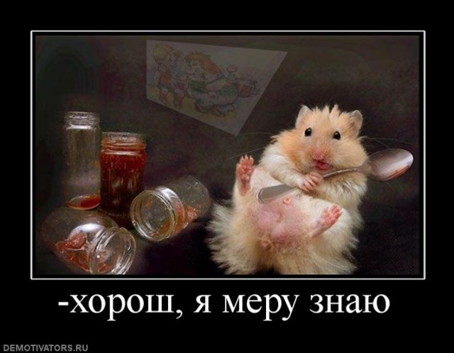 Хомячковский пост