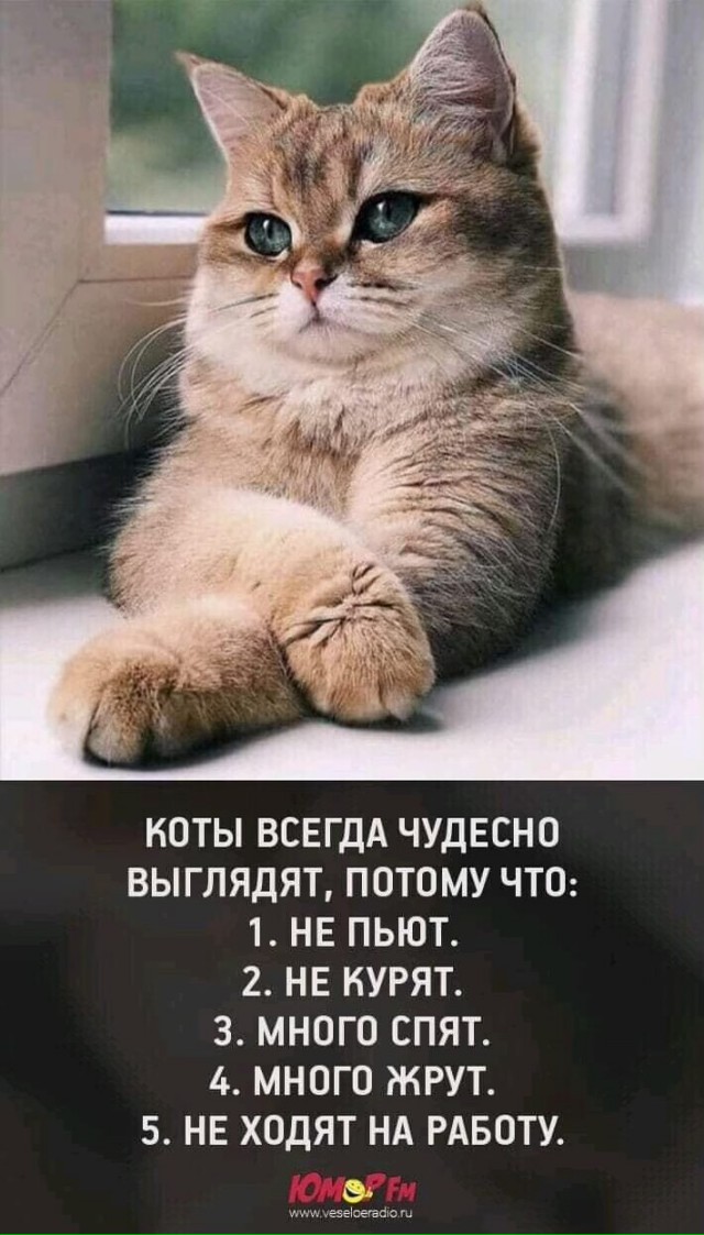 Боянистые картинки 22.12.20