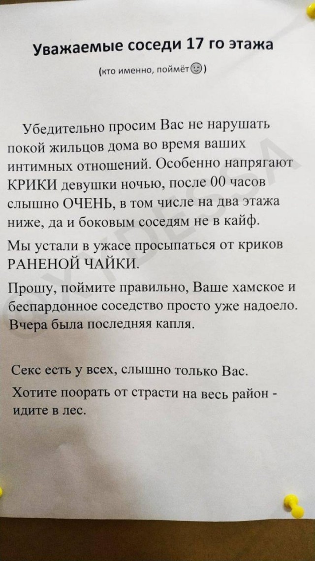 Женская зависть в пяти объявлениях