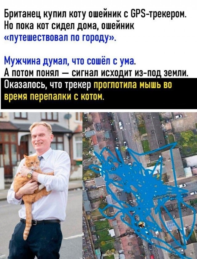 Картинки с надписями и всякие жизненные фразы 16.04.21