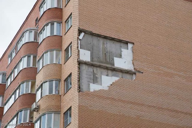 "Он просто реши похайпиться"