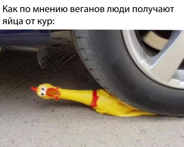 Картинки и мемы для настроения