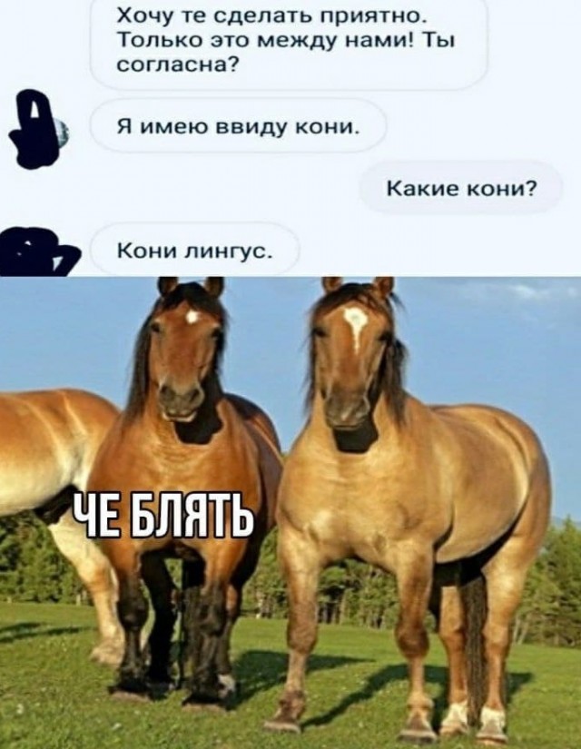 Так себе картинки 25.09.21