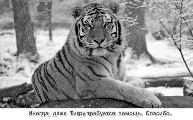 Пандемия. Коронавирус. Россия и мир. Часть 29