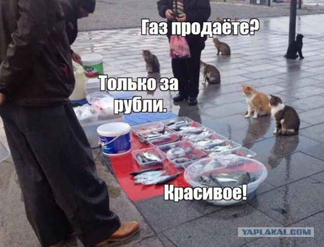 Картинки всякие про продажу газа за рубли
