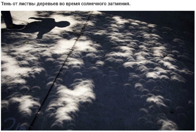 Калейдоскоп картинок