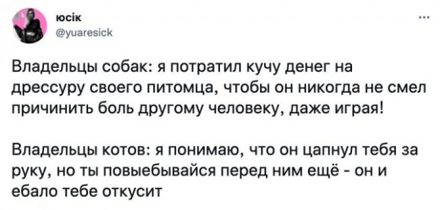 Так себе картинки 10.07.22