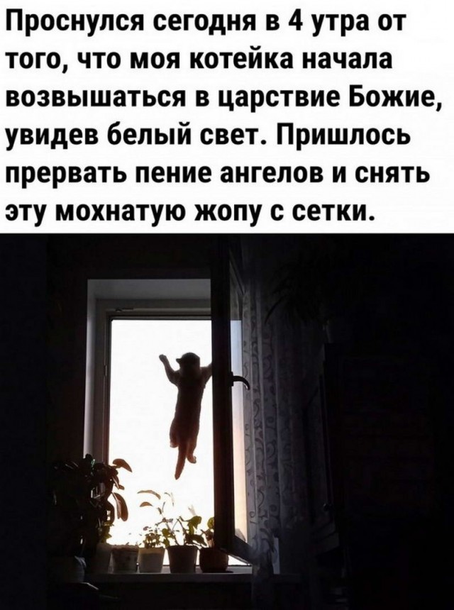 Картинки и мемы для настроения - 11