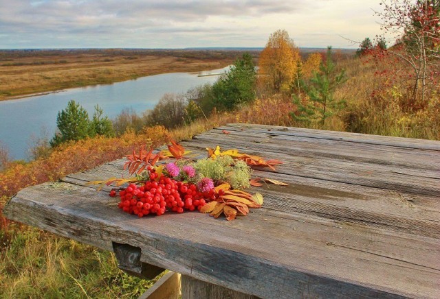 Поздней осенью в деревне