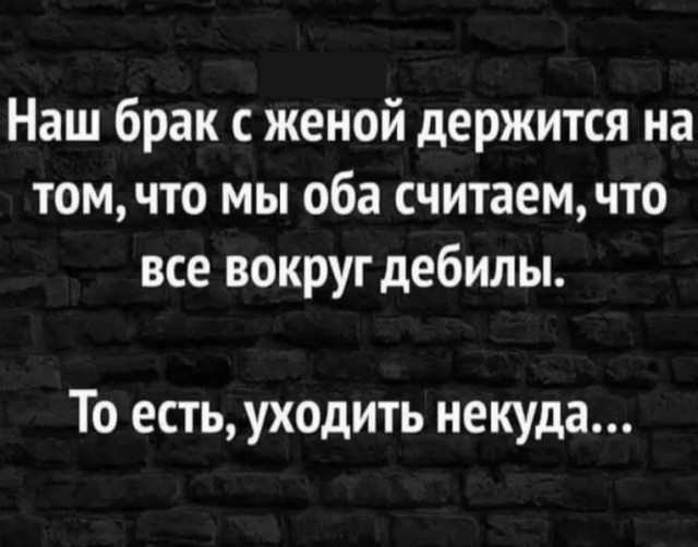 Тупняк на понедельник. 17 шт.