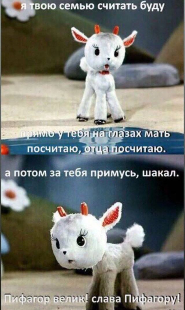 Я тебе поснимаю!