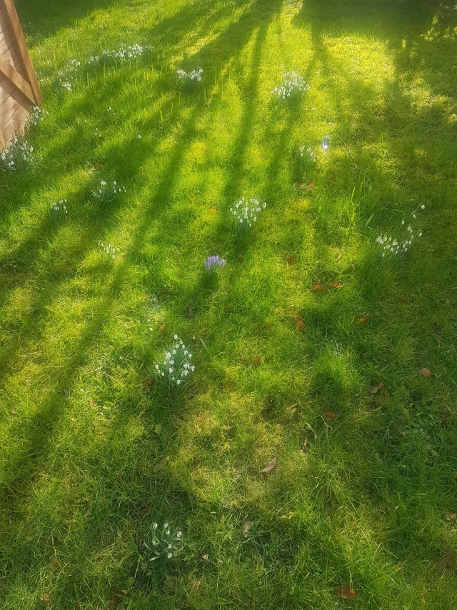 Суровый февраль