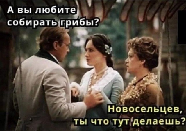 Нуштош 01.07.2023