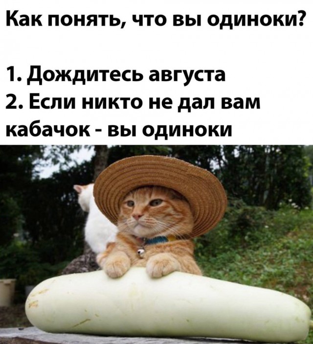Всего понемногу.