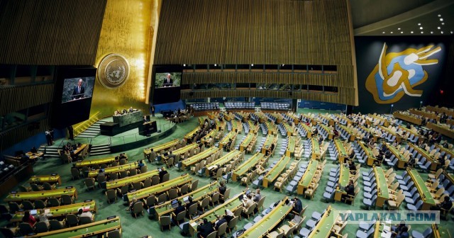 Шольц на Генассамблее ООН перед почти пустым залом