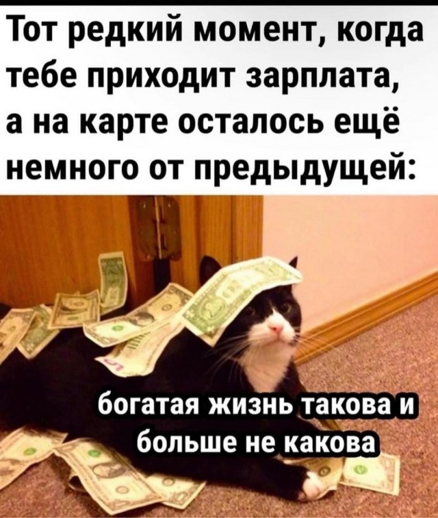 Отряд быстрого деградирования