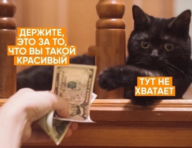 Избила мужа