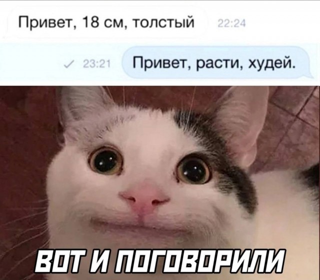 Прикольные и просто красивые картинки 09.02.2024
