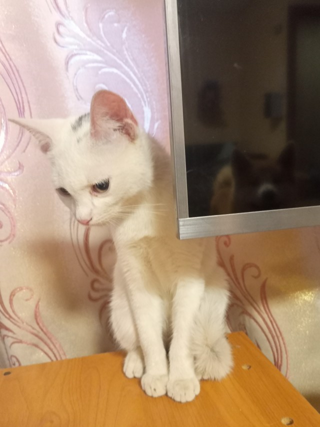 Любовь лечит
