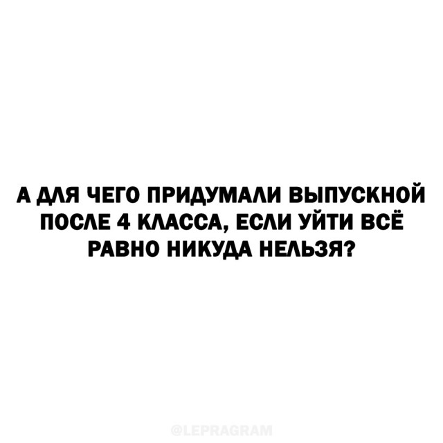 Весёлый полтишок 04.06.24