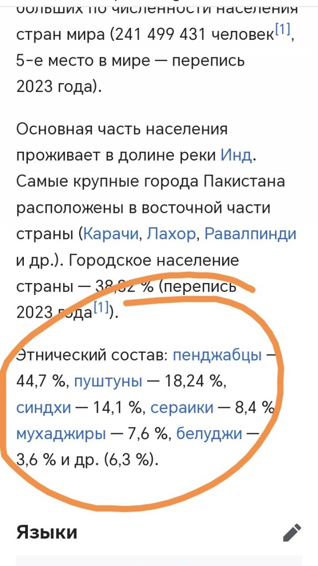 Новые мигранты: Палестинца задержали в Петербурге за изнасилование россиянки