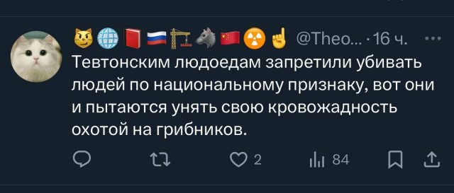 В соцсети X* распространилась фотосессия с богатым урожаем грибов, вызвавшая неоднозначную реакцию пользователей.