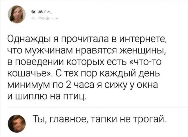 Так себе картинки 28.07.24