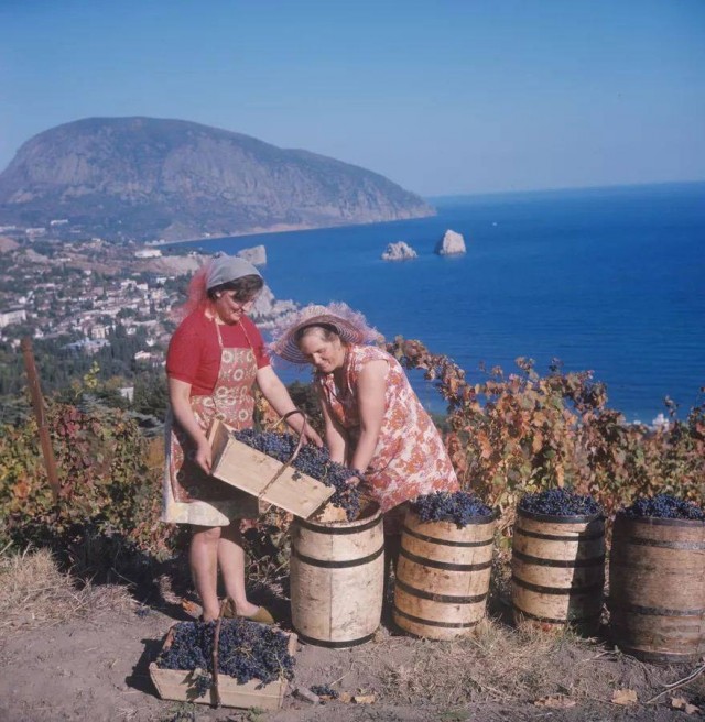 Back in USSR (06.08)