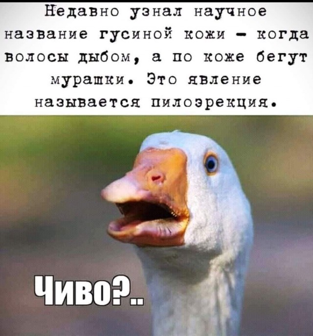 Так себе картинки 30.11.24