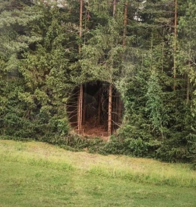 16 фотографий на которых творится какая то дичь
