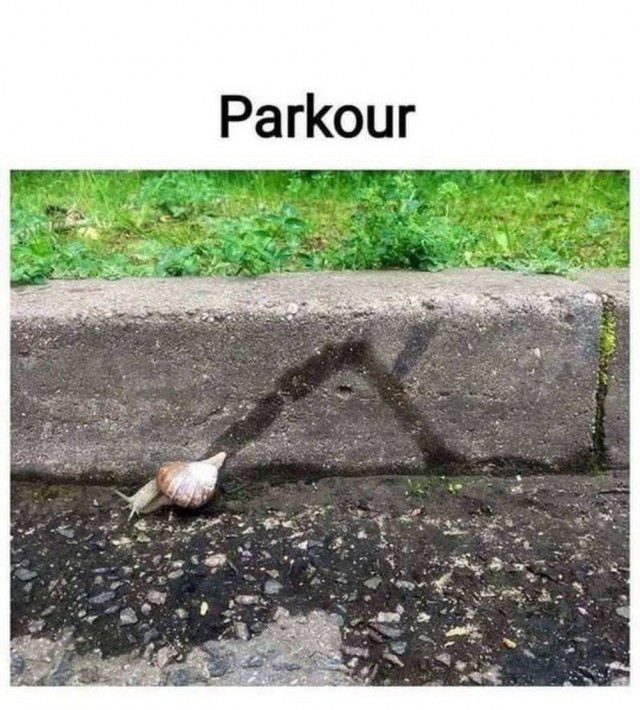 Пятничные бояны