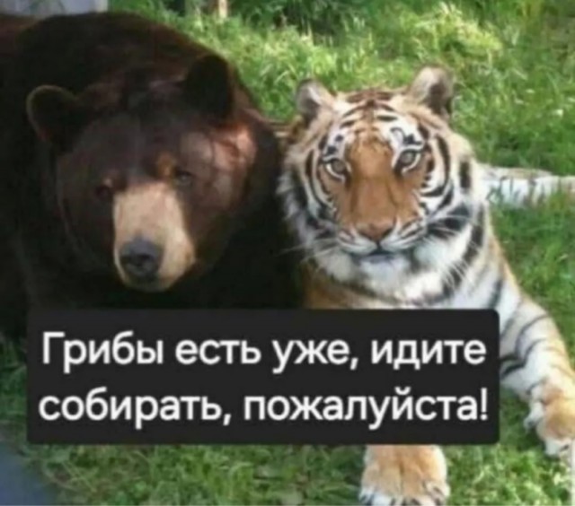 Так себе картинки 13.09.25