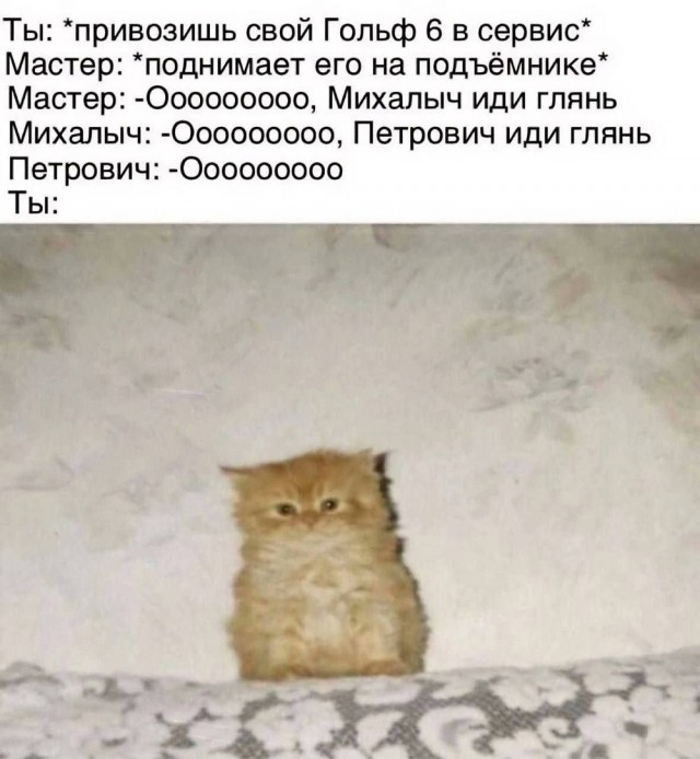Веселое настроение в картинках (07.10.2025)