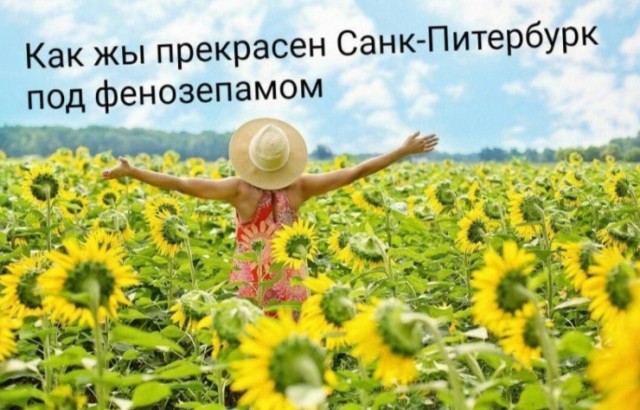 Женщина приехала в Москву из Лос-Анджелеса и сравнила темп жизни в российской столице и городе в Калифорнии