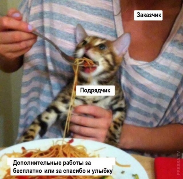 Веселые картинки в пятницу (20.02)