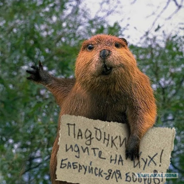 На Бобруйщине (Беларусь) дан массовый старт посевной