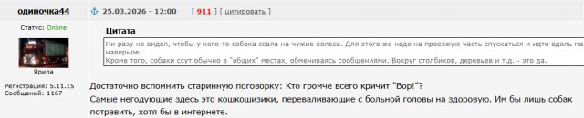Хозяева улетели за границу и бросили 11-летнего кота в аэропорту