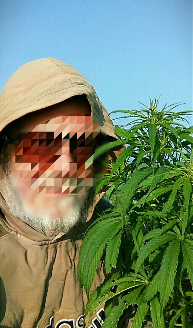 2026