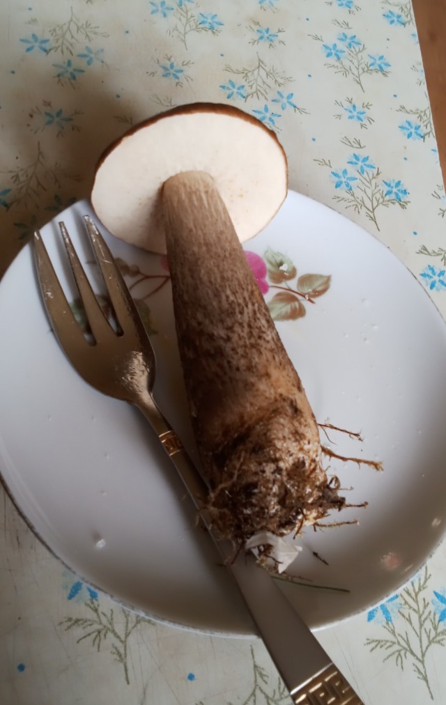 Настоящая яишница, именно через ш!
