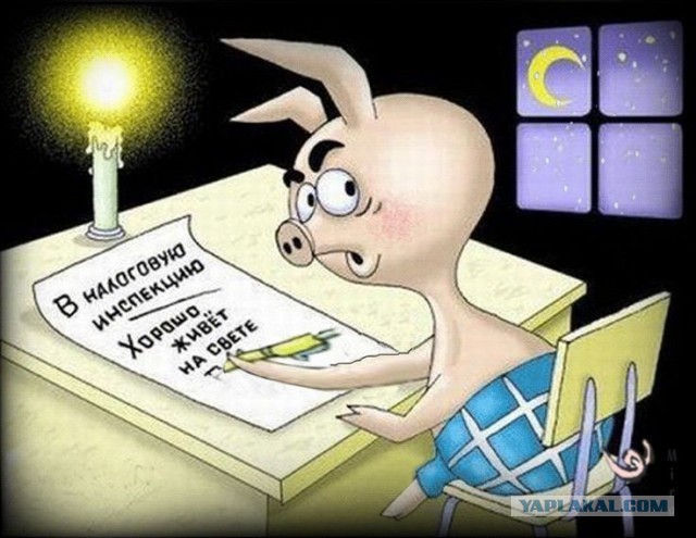 У Вини днюха
