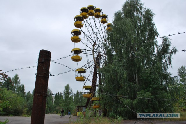 Припять — жизнь после людей.